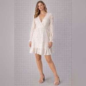 dresses and boots for fall Joelle Mini Dress, in Dainty White Lace main image 0